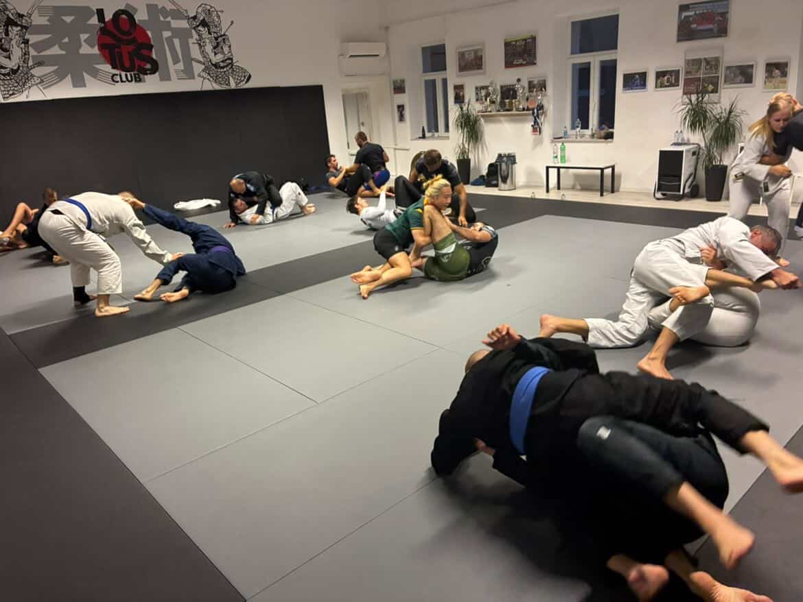 Open Mat / adults